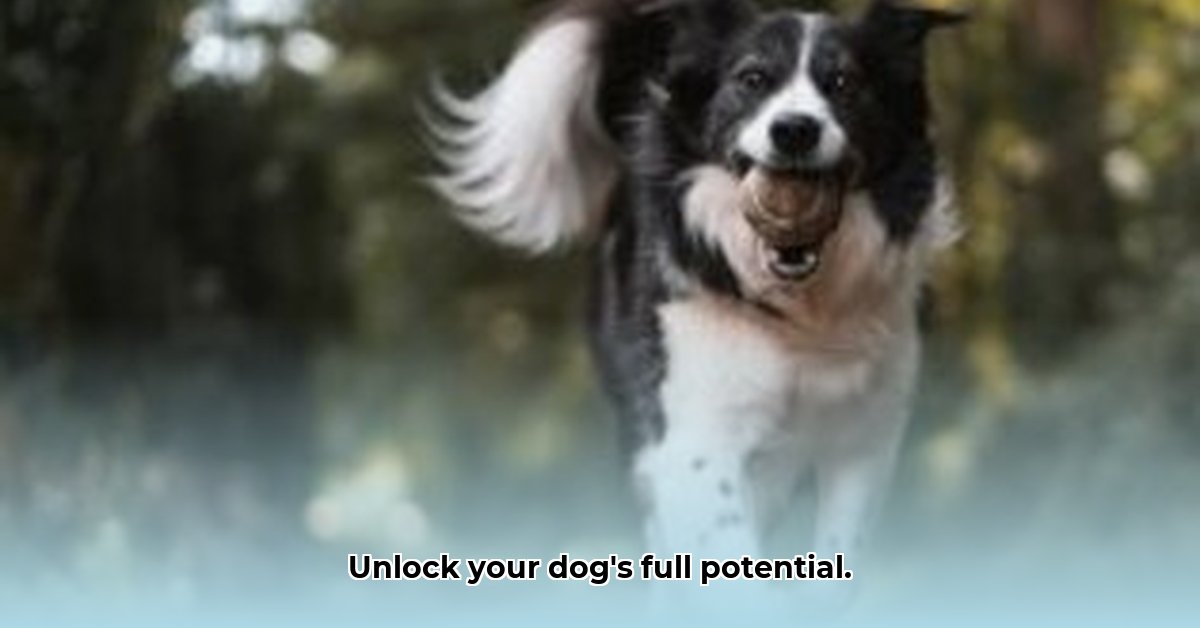 doggpt